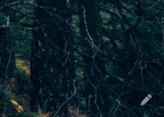 Edit mode button found on the bottom-right of the screen